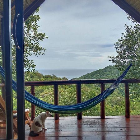 Tree House Bungalows Ko Tao Exteriér fotografie