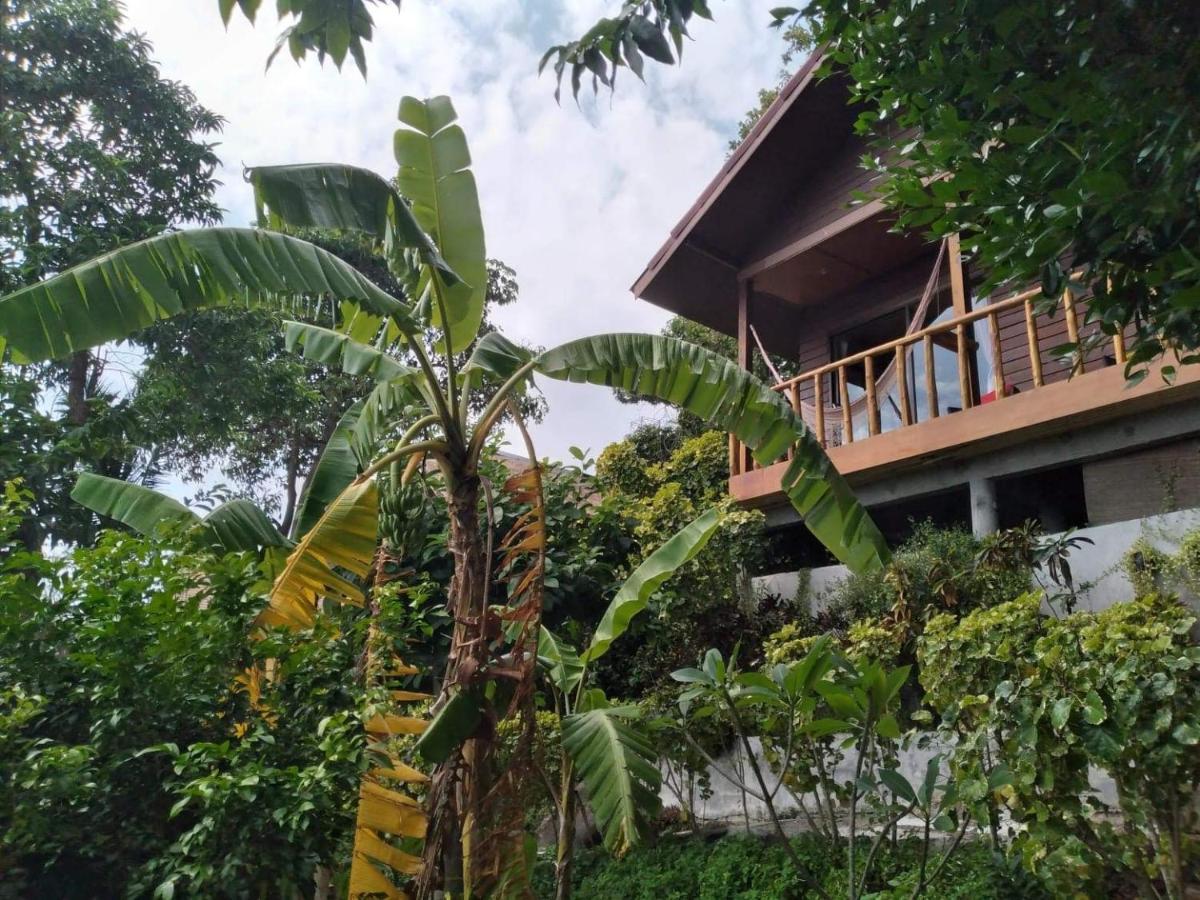 Tree House Bungalows Ko Tao Exteriér fotografie
