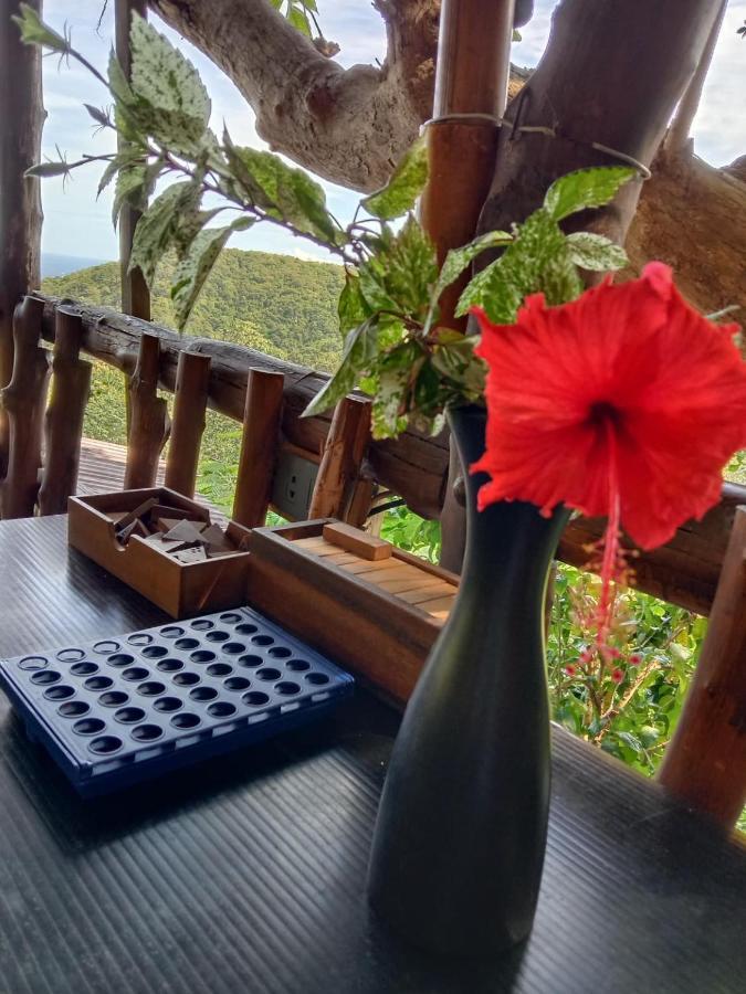 Tree House Bungalows Ko Tao Exteriér fotografie