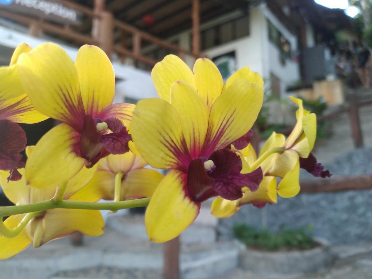 Tree House Bungalows Ko Tao Exteriér fotografie