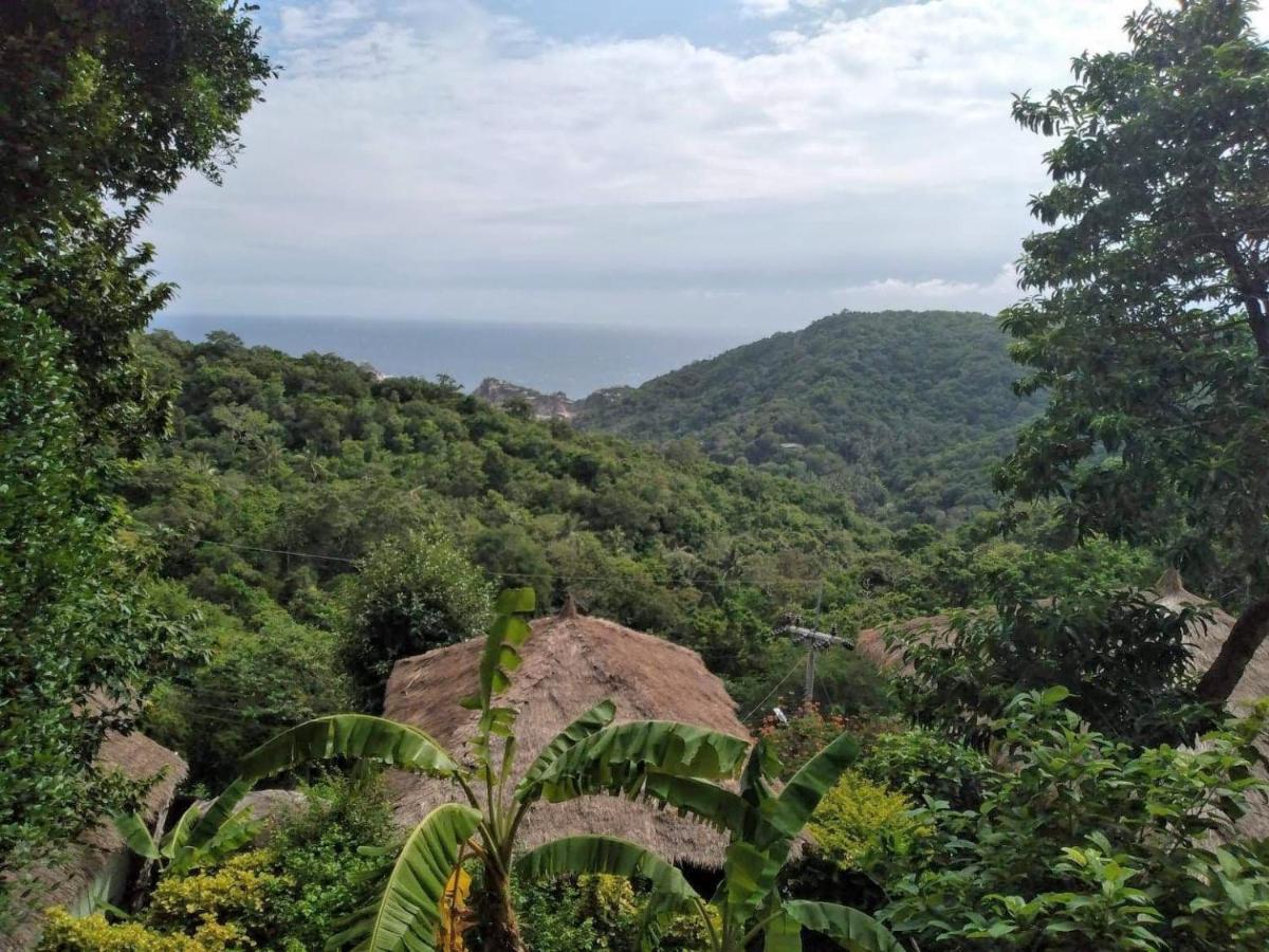 Tree House Bungalows Ko Tao Exteriér fotografie