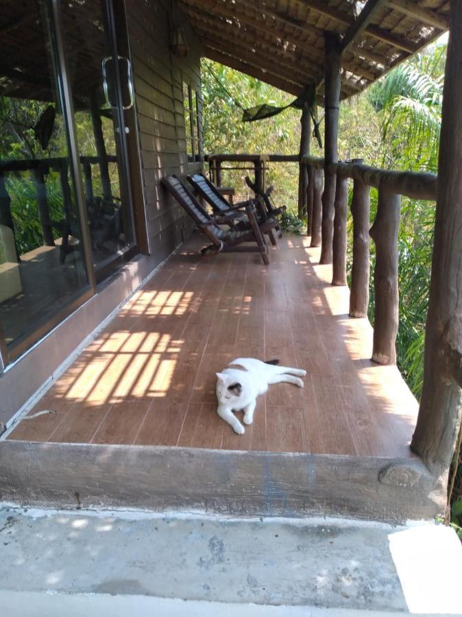 Tree House Bungalows Ko Tao Exteriér fotografie