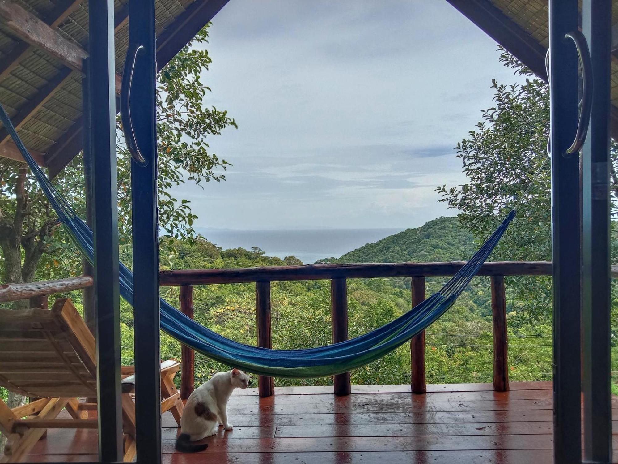 Tree House Bungalows Ko Tao Exteriér fotografie